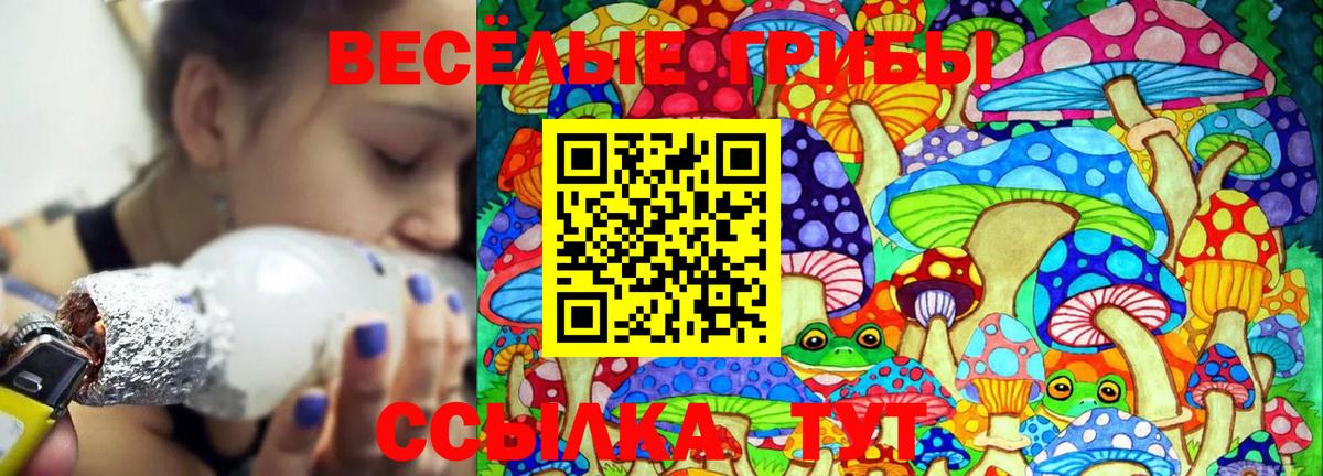 Псилоцибиновые грибы MAGIC MUSHROOMS  наркотики  Карпинск  Вход с VPN  Галлюциногенные грибы Magic Shrooms 
